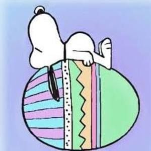 Meet your Posher, Anne